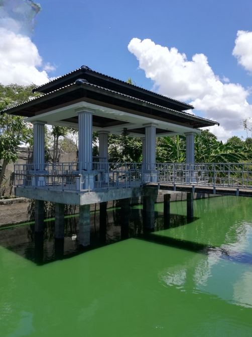 Cơ hội đầu tư: Đất nhà vườn 8.642m² mặt tiền Quản Lộ Phụng Hiệp, vị trí đẹp, đang canh tác hiệu quả