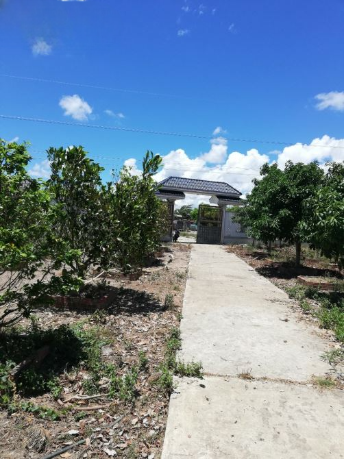 Cơ hội đầu tư: Đất nhà vườn 8.642m² mặt tiền Quản Lộ Phụng Hiệp, vị trí đẹp, đang canh tác hiệu quả
