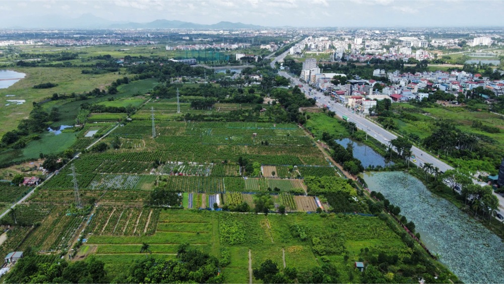 quy hoạch kế hoạch sử dụng đất l&agrave; g&igrave;
