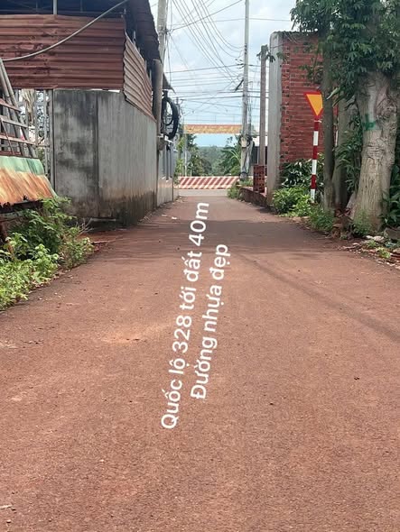 ☘️BÁN LÔ ĐẤT CÁCH MT 328 40M MẶT TIỀN LỚN (HÒA BÌNH CŨ)☘️