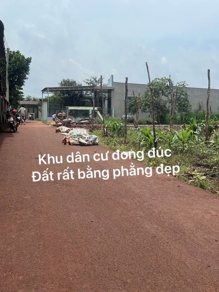 ☘️BÁN LÔ ĐẤT CÁCH MT 328 40M MẶT TIỀN LỚN (HÒA BÌNH CŨ)☘️