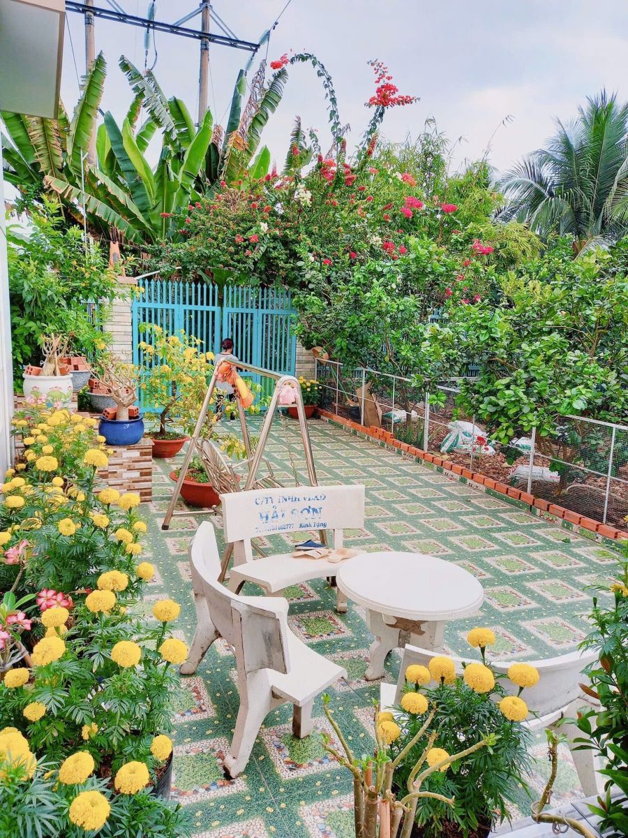 🏡 NHÀ VƯỜN GẦN TRƯỜNG CHUYÊN – P. PHÚ TÂN – 482m² FULL THỔ CƯ – GIÁ 4,3 TỶ 🌿