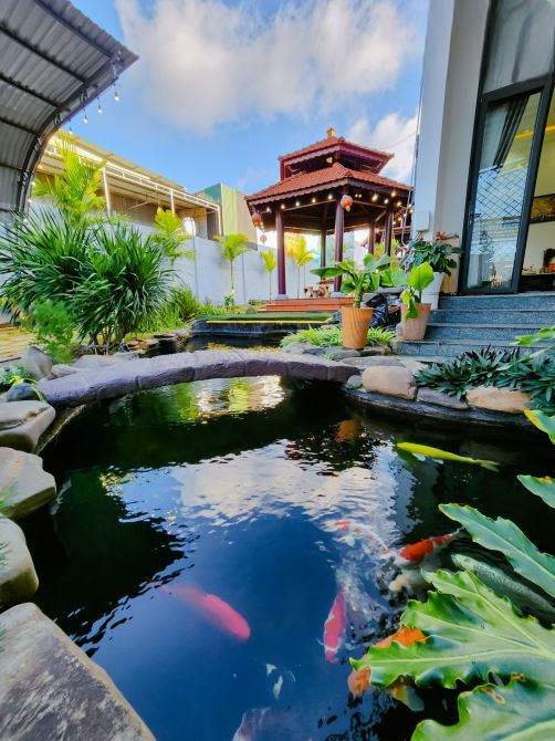 Bán biệt thự sân vườn cuối Y Moan, Buôn Ma Thuột 12,686 tỷ