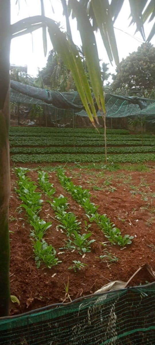 CẦN BÁN ĐẤT MẶT ĐƯỜNG NGUYỄN LƯƠNG BẰNG – HÒA THẮNG, BUÔN MA THUỘT