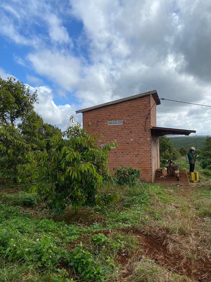🌳 BÁN ĐẤT DIỆN TÍCH LỚN – PHƯỜNG ĐẠT HIẾU, BUÔN HỒ, ĐẮK LẮK