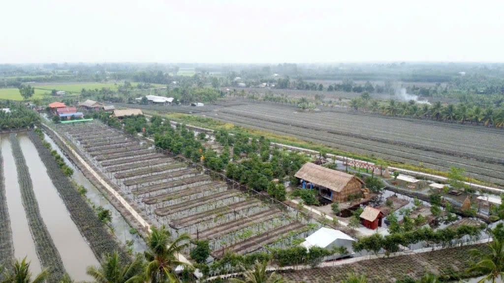 Cần bán điểm du lịch vườn tại Vị Tân, Vị Thanh, Hậu Giang