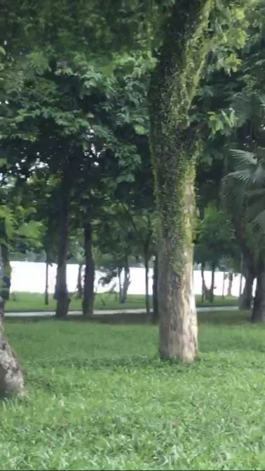 Bán lô đất đẹp ngay trung tâm TP. Huế, giá đầu tư, mặt tiền Lê Quang Quyền, Hương Long, TP Huế