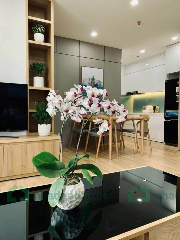 Cho Thuê Căn Hộ Cao Cấp The Manor Crown Huế – View Đẹp, Full Nội Thất – Chỉ 8,5 Triệu/Tháng