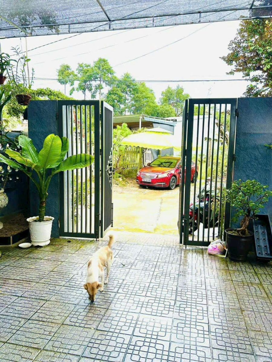 🏡 BÁN NHÀ CẤP 4 HIỆN ĐẠI – OTO ĐẬU TẬN SÂN – ĐỒNG CÁT