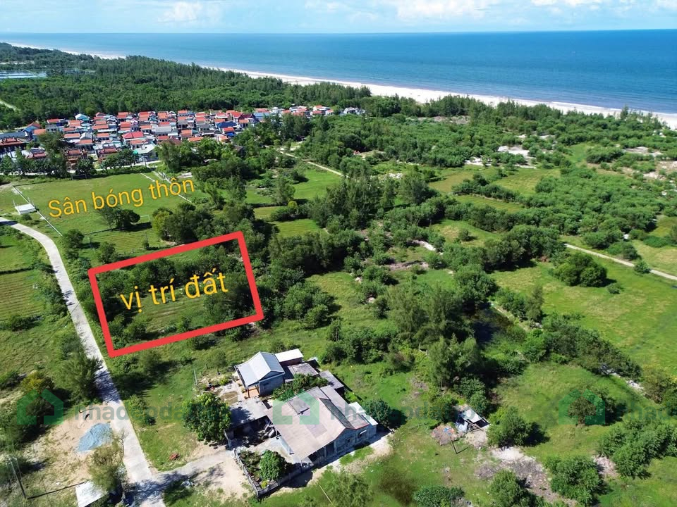 BÁN ĐẤT TRỒNG CÂY – GẦN BIỂN ĐIỀN HÒA, PHONG ĐIỀN, HUẾ