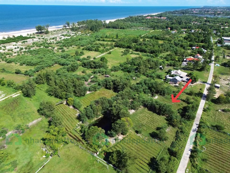 BÁN ĐẤT TRỒNG CÂY – GẦN BIỂN ĐIỀN HÒA, PHONG ĐIỀN, HUẾ
