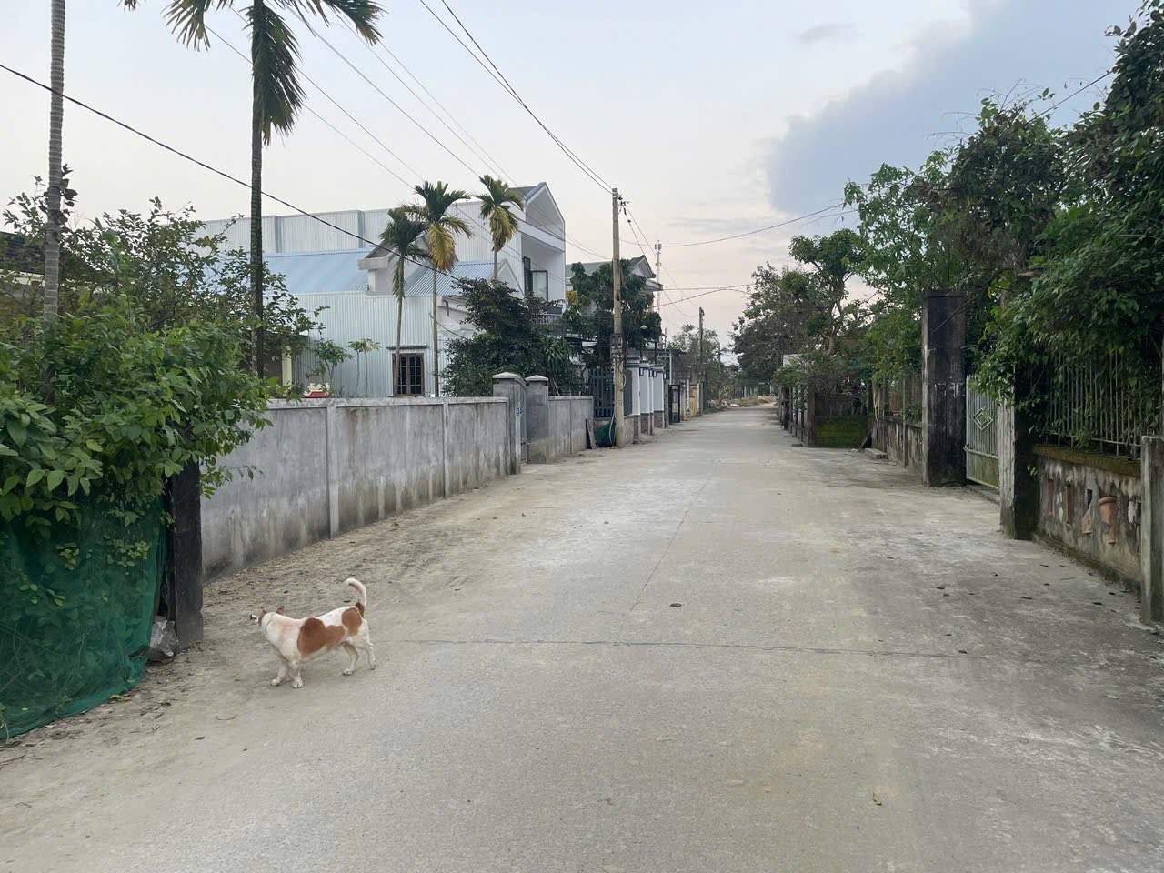🏘 CHÍNH CHỦ BÁN LÔ ĐẤT HIẾM – KIỆT Ô TÔ MẶT TIỀN GẦN VÕ VĂN KIỆT, TP. HUẾ