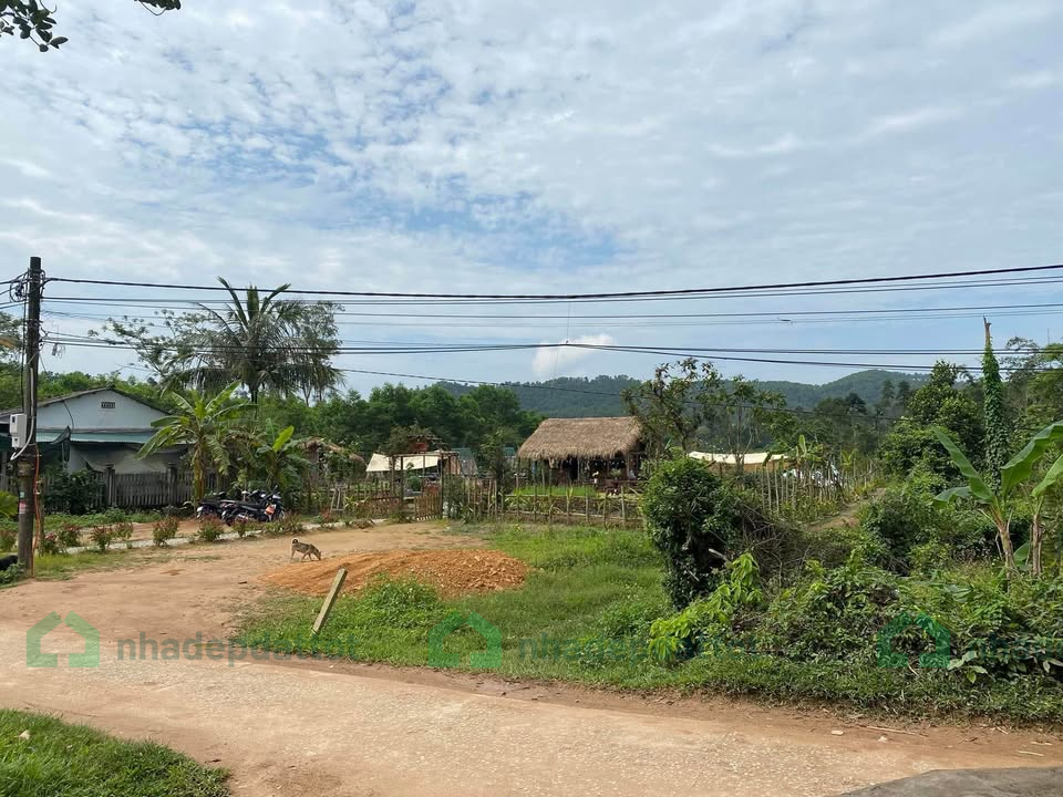 4XX TRIỆU - BÁN ĐẤT TRỒNG CÂY LÂU NĂM – THÔN CHÂU CHỮ, XÃ THỦY BẰNG, TP HUẾ