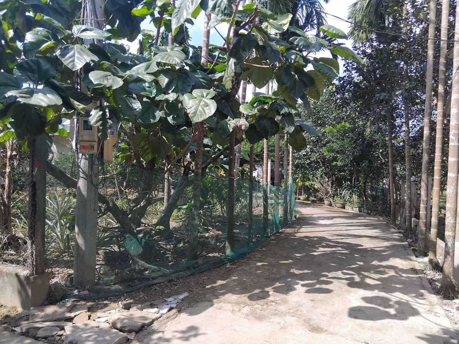 BÁN ĐẤT 2 MẶT TIỀN KIỆT – TẶNG NHÀ CẤP 4 KIÊN CỐ – THỦY XUÂN, TP HUẾ