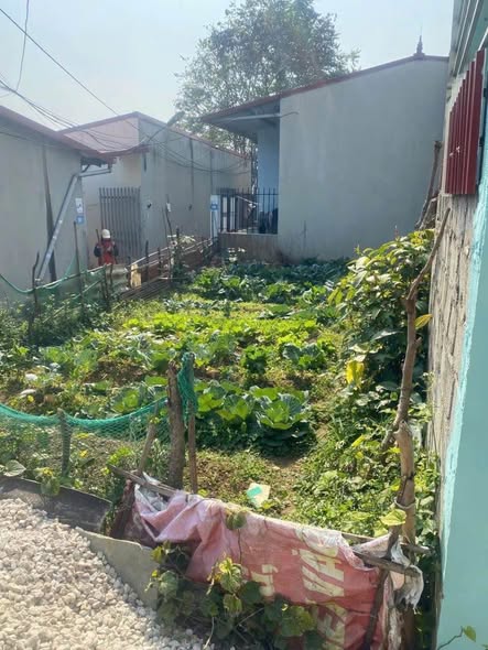 🌸 KHAI XUÂN LÔ ĐẤT 61,3M² – GIÁ ĐẦU TƯ CHỈ HƠN 400 TRIỆU 🌸