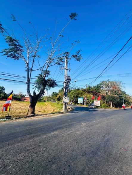 📌 CHÍNH CHỦ BÁN CẶP NỀN LỚN – ĐƯỜNG NGUYỄN VĂN KHÁNH – P. 8 – TP. SÓC TRĂNG 📌