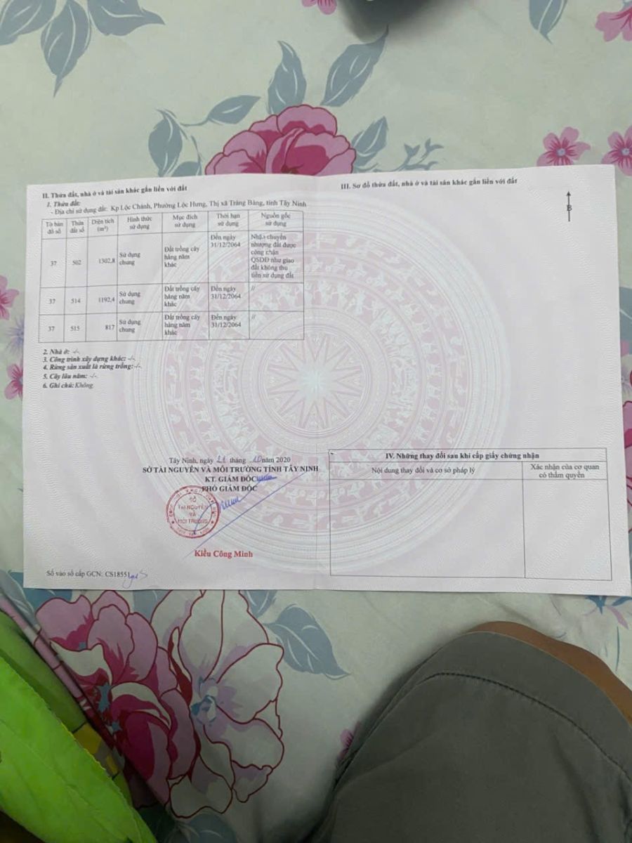 🏡 BÁN ĐẤT DIỆN TÍCH LỚN – GIÁ TỐT – LỘC HƯNG, TRẢNG BÀNG, TÂY NINH
