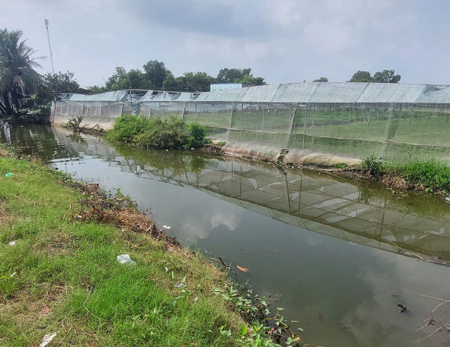 🌿 BÁN ĐẤT PHƯỚC LÝ 2.739M² – PHÙ HỢP ĐẦU TƯ &amp; CANH TÁC 🌿