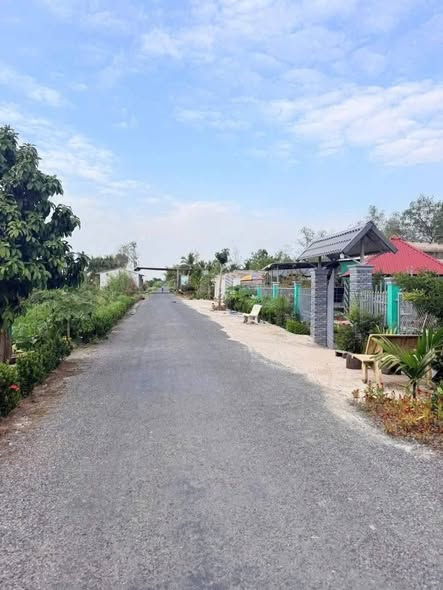 🏞️ CHỦ GỬI BÁN 3 NỀN LIỀN KỀ – 2 MẶT TIỀN LỘ NHỰA & SÔNG – XÃ TÂN QUỚI, VĨNH LONG