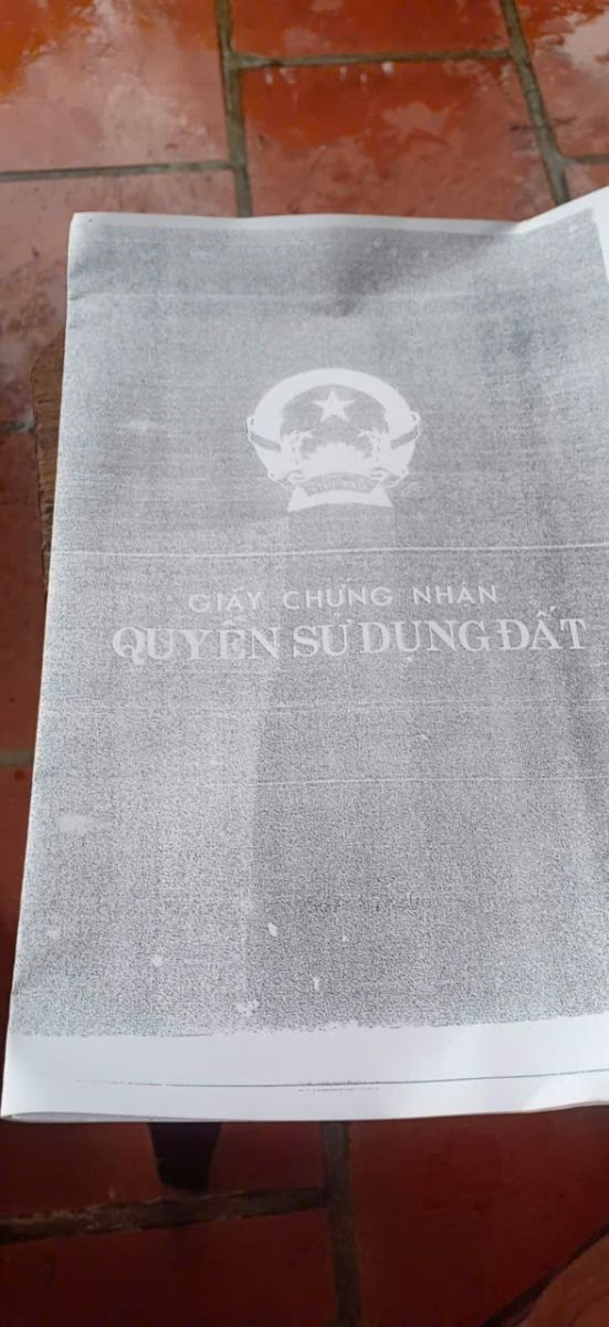 🔥 BÁN ĐẤT TRUNG TÂM TP LONG XUYÊN – CHÍNH CHỦ – 12 TRIỆU/M2 🔥