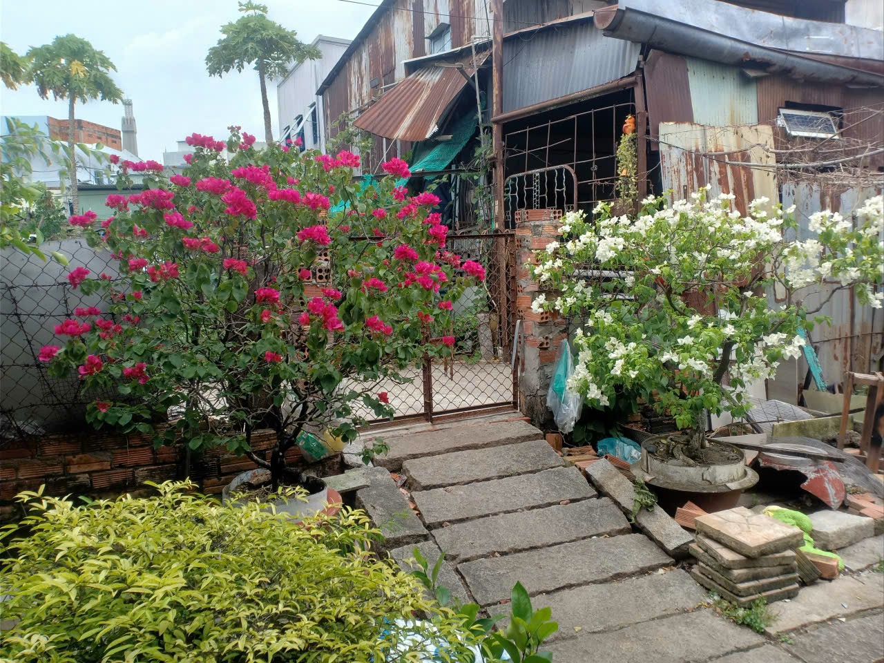 🔥 BÁN ĐẤT TRUNG TÂM TP LONG XUYÊN – CHÍNH CHỦ – 12 TRIỆU/M2 🔥