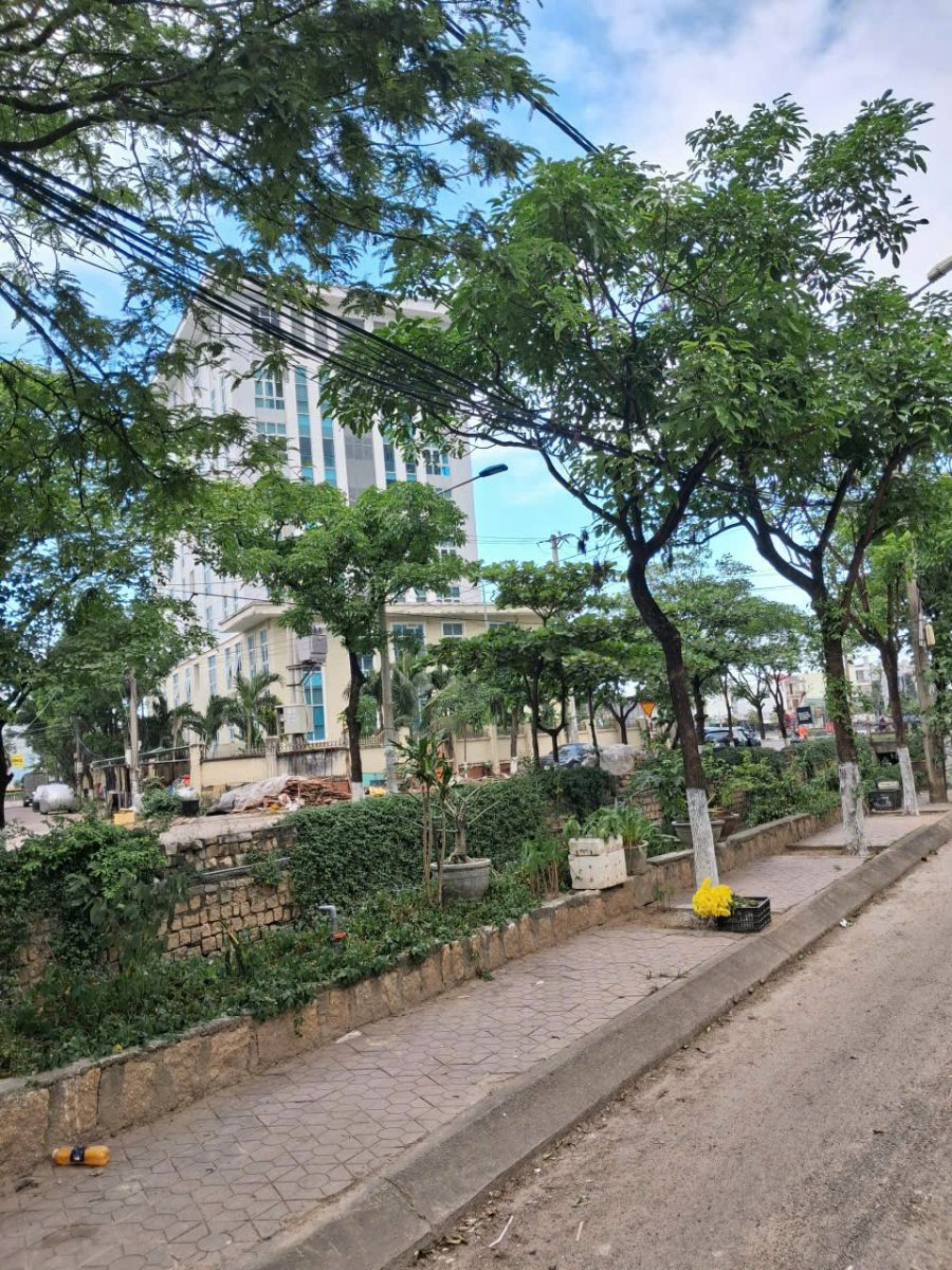 🏡 BÁN NHÀ RIÊNG – TRUNG TÂM NHƠN BÌNH, QUY NHƠN