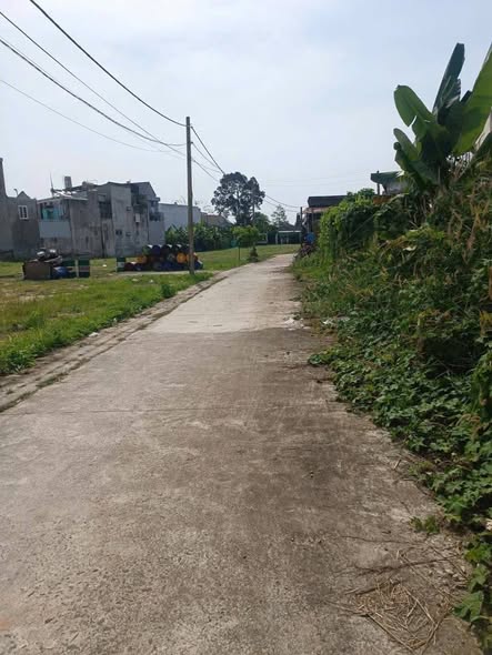 🏡 BÁN ĐẤT P. TƯƠNG BÌNH HIỆP – THỦ DẦU MỘT – GIÁ TỐT 🏡
