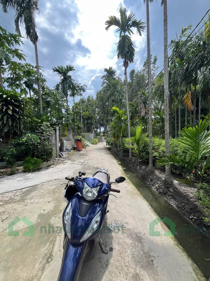 Bán nhà view kênh – Gần cầu Phú Long – Đường ô tô tới nhà – 117,5m² – Giá 4,199 tỷ