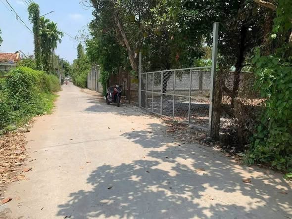 🌿 ĐẤT VƯỜN NGANG 16,5M – BÌNH NHÂM – THUẬN AN 🌿