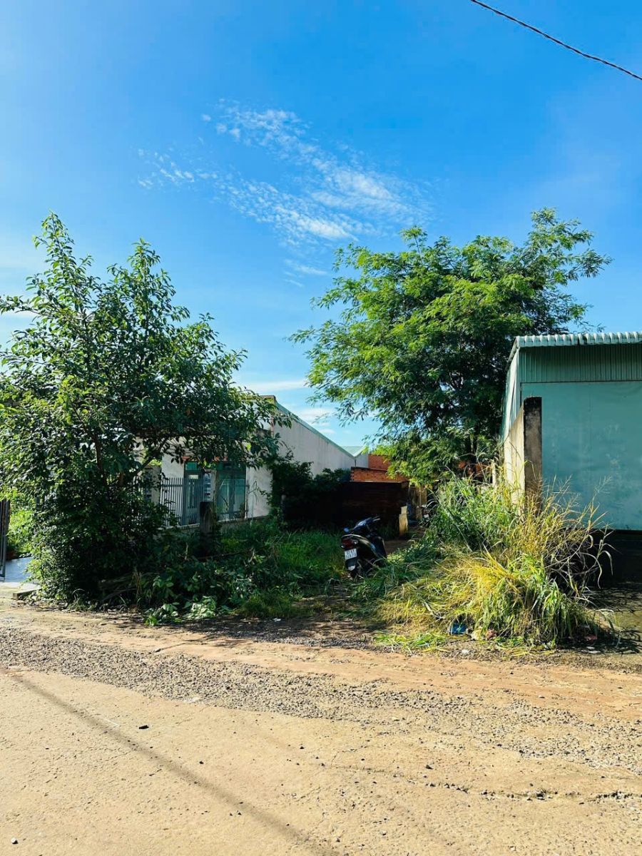 🏡 CHÍNH CHỦ CẦN BÁN ĐẤT ĐẸP GIÁ TỐT – PHƯỜNG PHƯỚC BÌNH, TX PHƯỚC LONG, BÌNH PHƯỚC