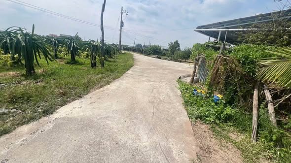 BÁN ĐẤT GÓC 2 MẶT TIỀN – KHU PHỐ XUÂN ĐIỀN, HÀM HIỆP – ĐẤT CÂY LÂU NĂM