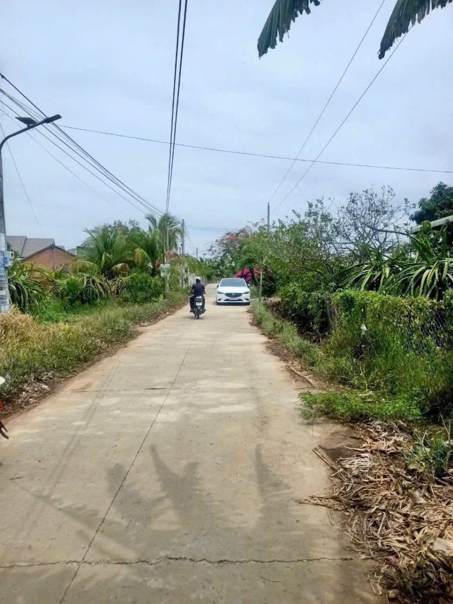 📍 BÁN ĐẤT THỔ CƯ HƯỚNG NAM – ĐƯỜNG Ô TÔ – HÀM CƯỜNG, BÌNH THUẬN (SP03)