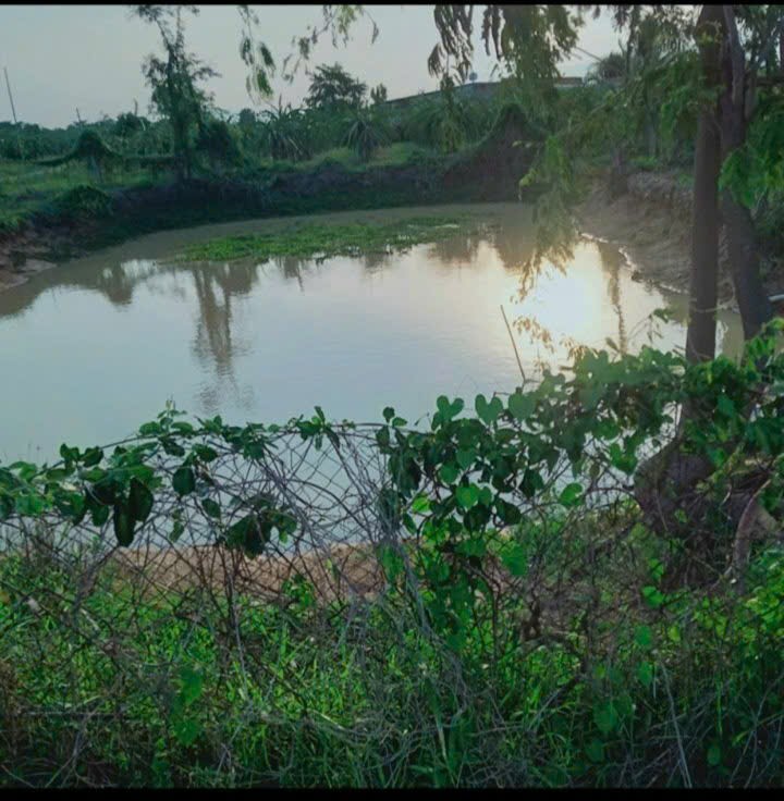 🏡 BÁN ĐẤT CHÍNH CHỦ – GIÁ TỐT - NINH BÌNH