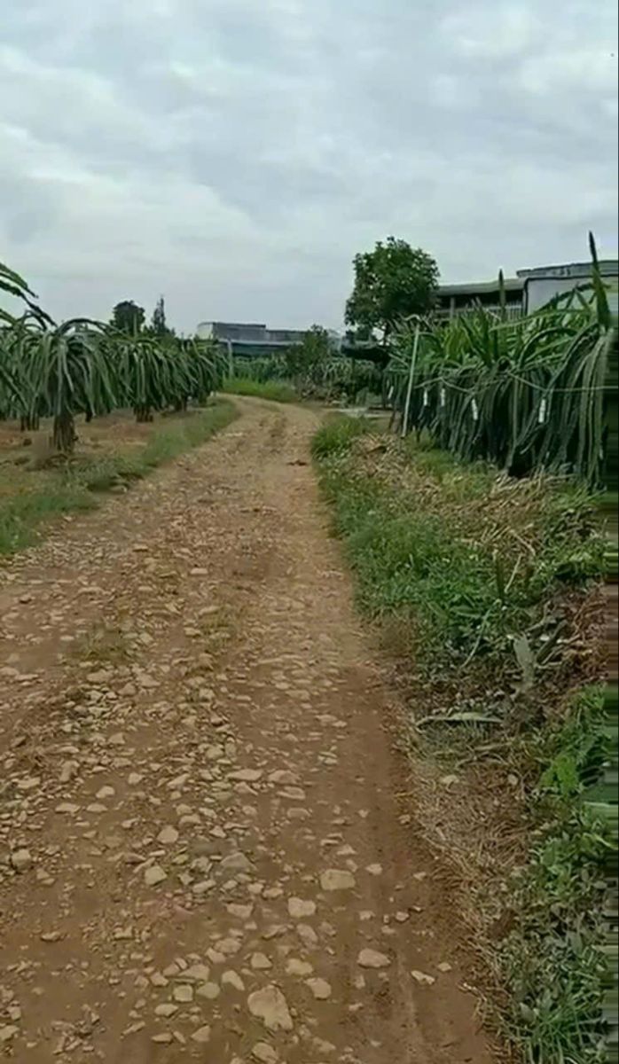🏡 BÁN ĐẤT CHÍNH CHỦ – GIÁ TỐT - NINH BÌNH