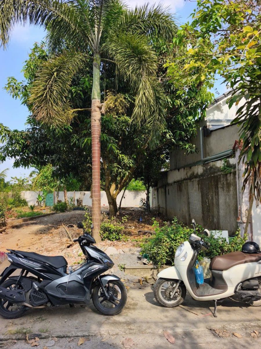 Nền thổ cư hẻm 6m, Bình Thủy ,Cần Thơ, ô tô đậu - Nhà Đẹp Đất Tốt
