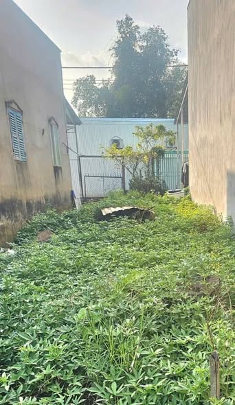 Nền thổ cư tại Long Hòa, Cần Thơ , 970 triệu  - Nhà Đẹp Đất Tốt