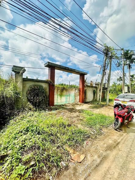 ‼️‼️‼️ BÁN NỀN BIỆT THỰ GẦN SÔNG – KHU VỰC 3 – P. BA LÁNG – Q. CÁI RĂNG – TP. CẦN THƠ ‼️‼️‼️