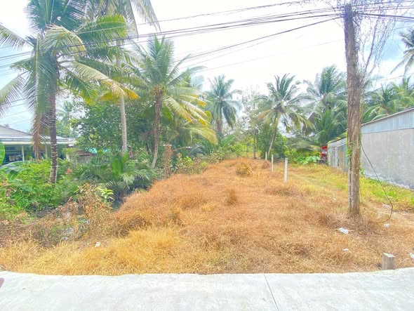 ❌❌❌ CHÍNH CHỦ GỬI – NỀN ĐẸP GẦN CHỢ CÁI CHANH – THƯỜNG THẠNH – Ô TÔ TỚI ĐẤT ❌❌❌