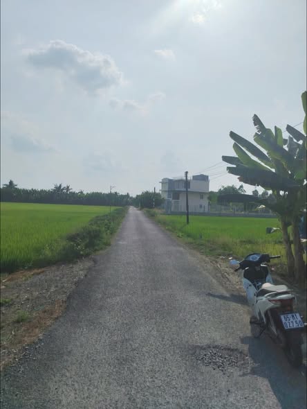 Nền Phước Thới, Rạch Vạn Lịch, Ô Môn chỉ 850 triệu - Nhà Đẹp Đất Tốt