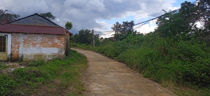 Bán đất thổ cư 5.200 m² tại Thôn 5 Nhân Cơ – Đắk R’Lấp, Đắk Nông - 2 tỷ