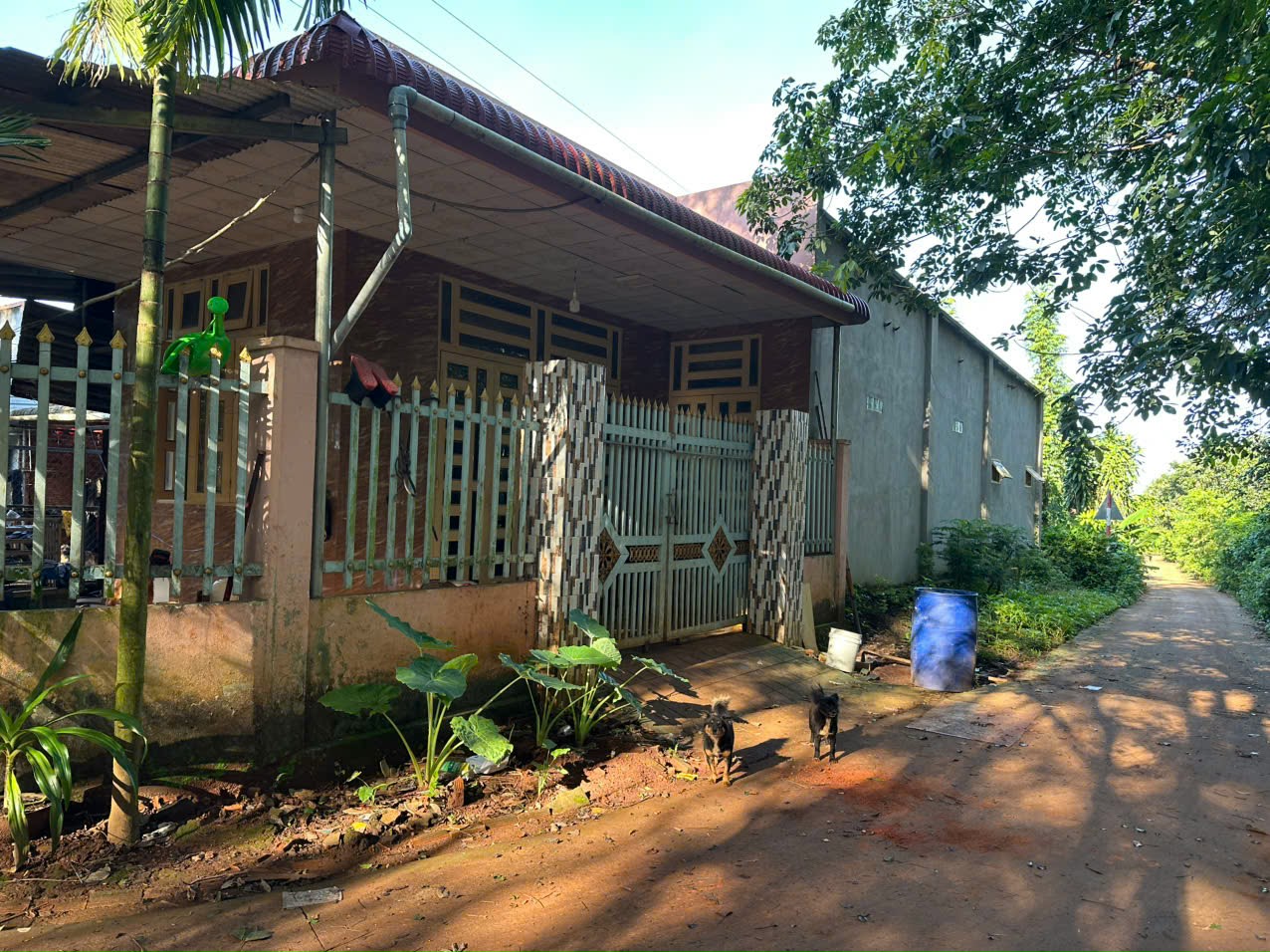 🏡 Bán đất kèm nhà 2 mặt tiền Long Giao. Sổ riêng, vào ở ngay
