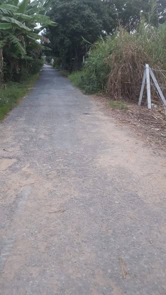 🏡 CẦN BÁN GẤP – GIẢM GIÁ MẠNH – NỀN BIỆT THỰ 2 LÔ LIỀN KỀ – PHƯỜNG MỸ TRÀ, TP. CAO LÃNH, ĐỒNG THÁP