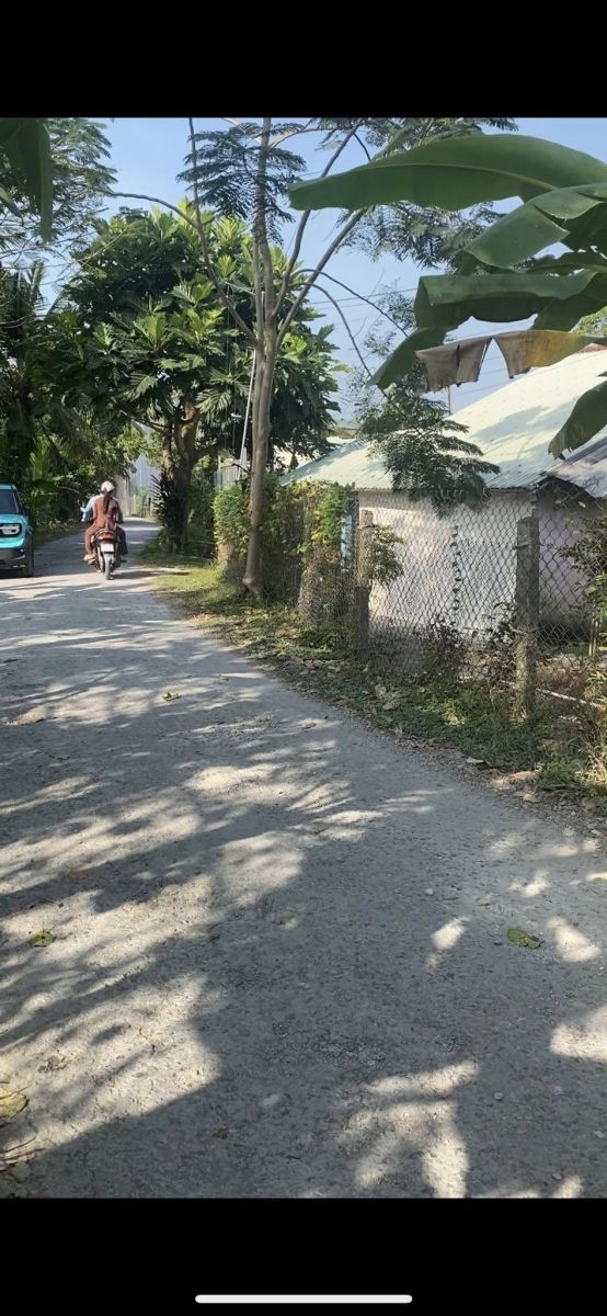 💎 CHÍNH CHỦ BÁN 2.311M² ĐẤT THỔ CƯ MẶT TIỀN NHỰA – GẦN CHỢ PHÚ LONG, CHÂU THÀNH, ĐỒNG THÁP