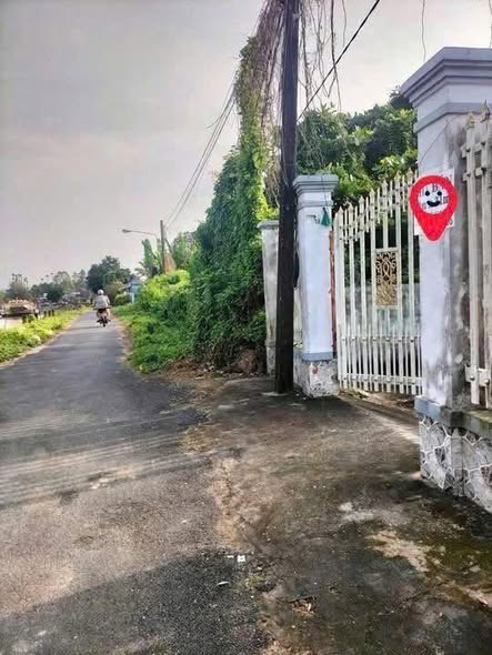 🏡 BÁN NHÀ ĐẤT MẶT TIỀN – CÁCH CHỢ VÀM CỐNG 200 M – HUYỆN LẤP VÒ, ĐỒNG THÁP