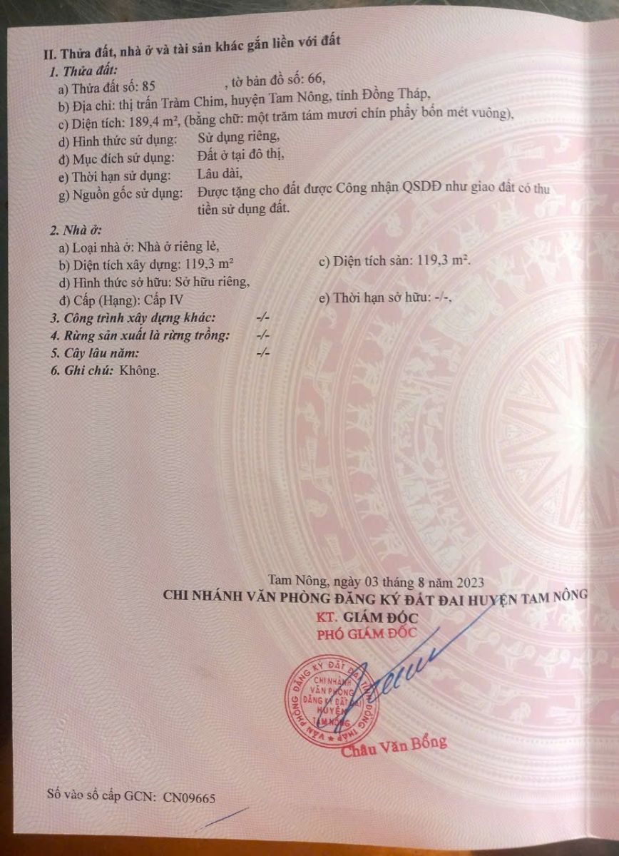 🏠BÁN NHÀ TRUNG TÂM THỊ TRẤN TRÀM CHIM – ĐƯỜNG ĐỐC BINH KIỀU – TAM NÔNG, ĐỒNG THÁP🏠