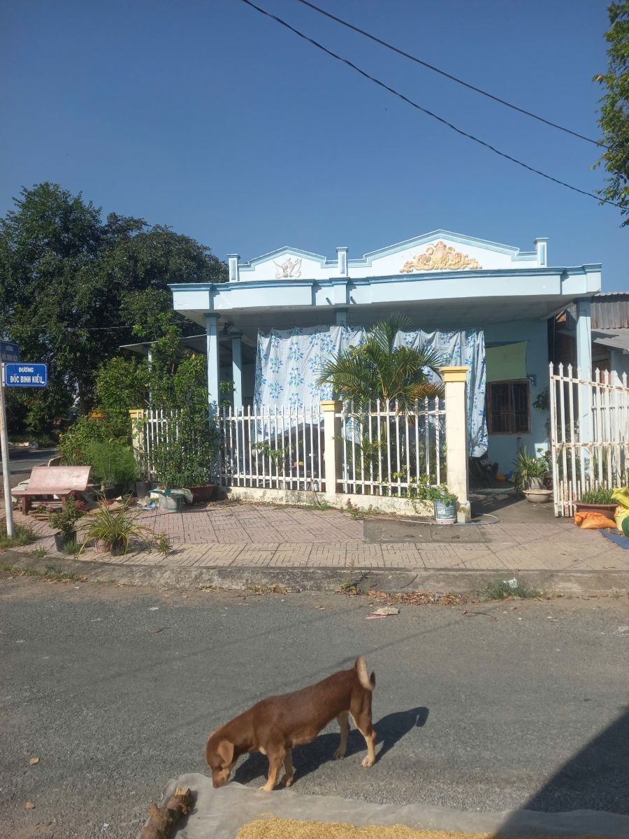 🏠BÁN NHÀ TRUNG TÂM THỊ TRẤN TRÀM CHIM – ĐƯỜNG ĐỐC BINH KIỀU – TAM NÔNG, ĐỒNG THÁP🏠