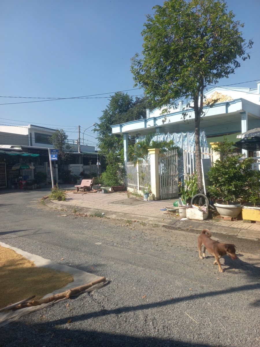 🏠BÁN NHÀ TRUNG TÂM THỊ TRẤN TRÀM CHIM – ĐƯỜNG ĐỐC BINH KIỀU – TAM NÔNG, ĐỒNG THÁP🏠