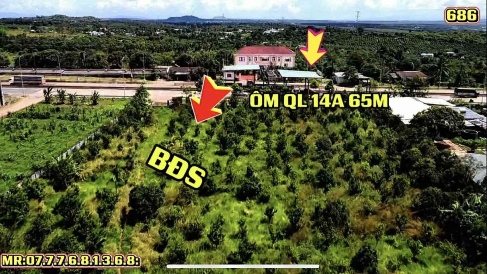 Cần tiền bán gấp đất hơn 4,4 hecta P.Ia Băng, Chư Prông - giá 5 tỷ 5/ha
