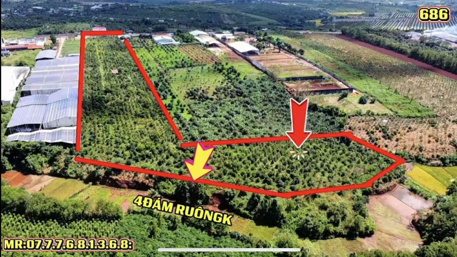 Cần tiền bán gấp đất hơn 4,4 hecta P.Ia Băng, Chư Prông - giá 5 tỷ 5/ha