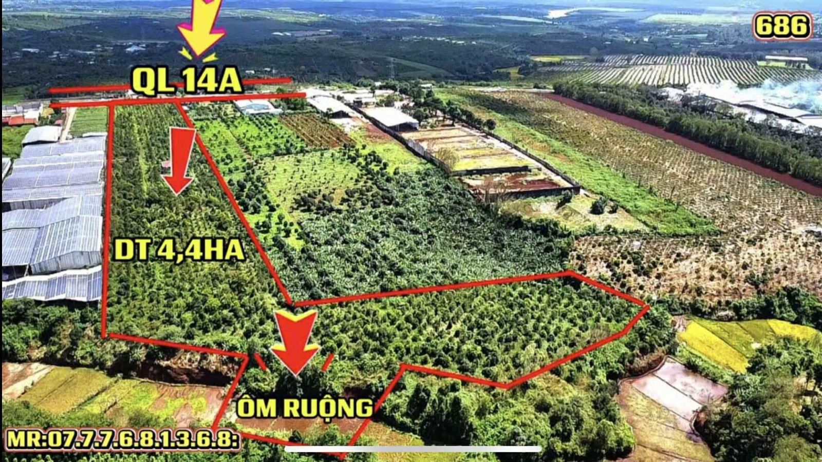 Cần tiền bán gấp đất hơn 4,4 hecta P.Ia Băng, Chư Prông - giá 5 tỷ 5/ha
